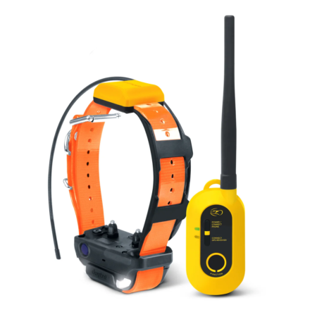 Colier gps pour chien dogtra