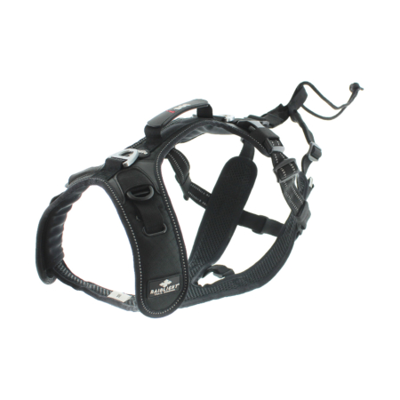 Harnais chien RAIDLIGHT sports, canitrail