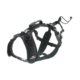 Harnais chien RAIDLIGHT sports, canitrail